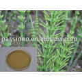 Lowest price for Horsetail P.E.7% Organic Silica acid in stock